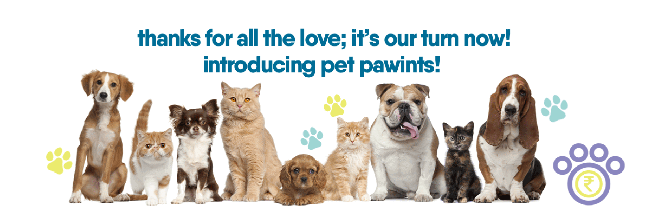 pet-pawints | Pawfectly Made